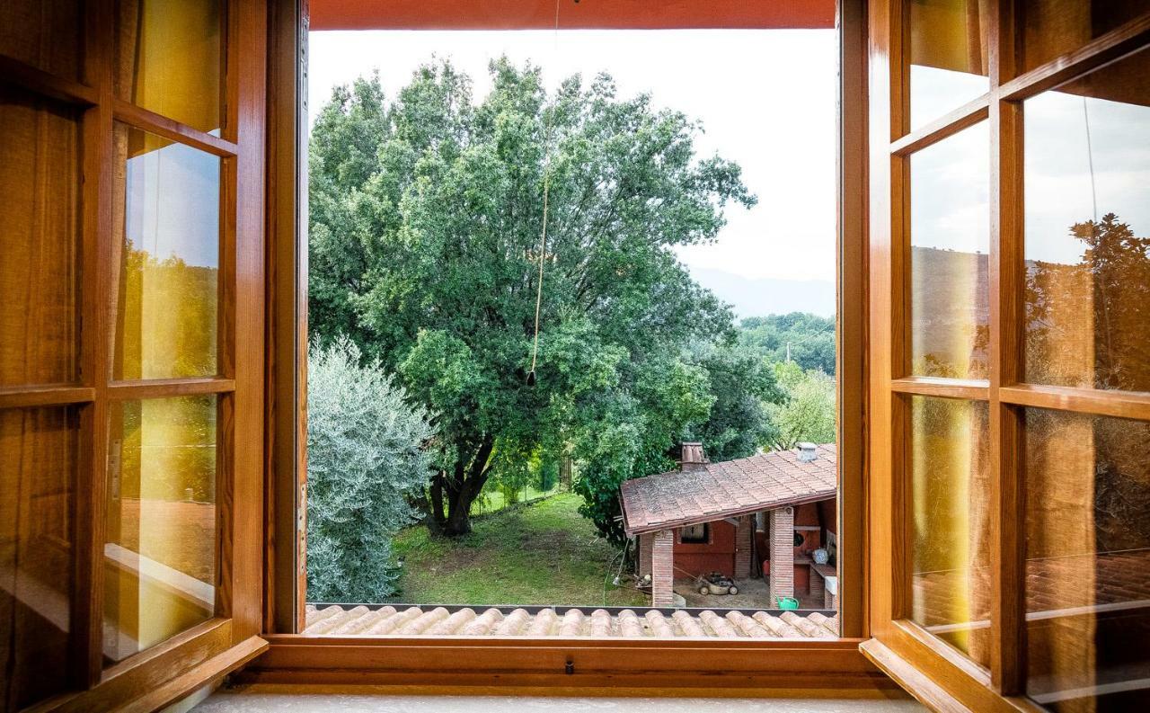 B&B La Mita Giuliano di Roma Luaran gambar