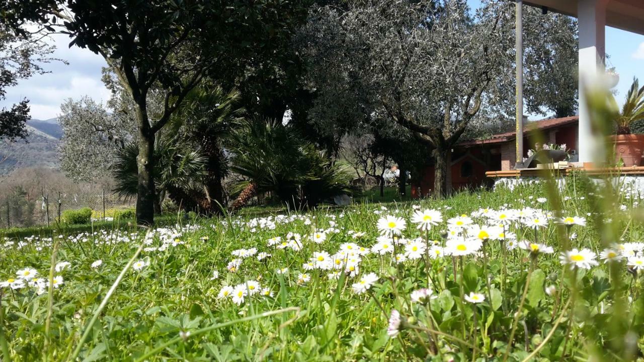 B&B La Mita Giuliano di Roma Luaran gambar